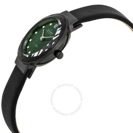 SKAGEN 456SBLB