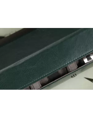 Кейс для годинників Salvadore PB/3176/3.GN-GR