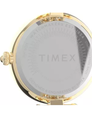 Timex ASHEVILLE Tx2v02500