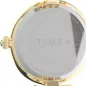Timex ASHEVILLE Tx2v02500