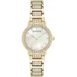 Годинник Anne Klein AK/5104MPGB