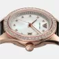 Emporio Armani Leo AR11505