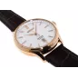 SEIKO Presage Japanese Garden SRPD42J1