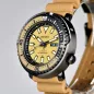 SEIKO SRPE29K1