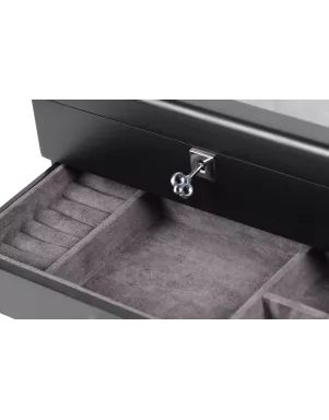 Скринька для зберігання годинників Salvadore WB/3420/4.BL-CH