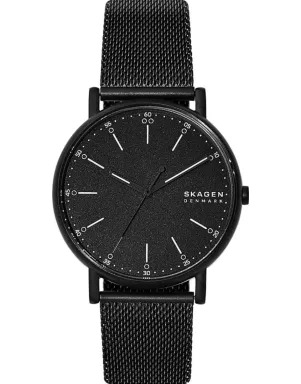 Часы Skagen Signatur SKW6579