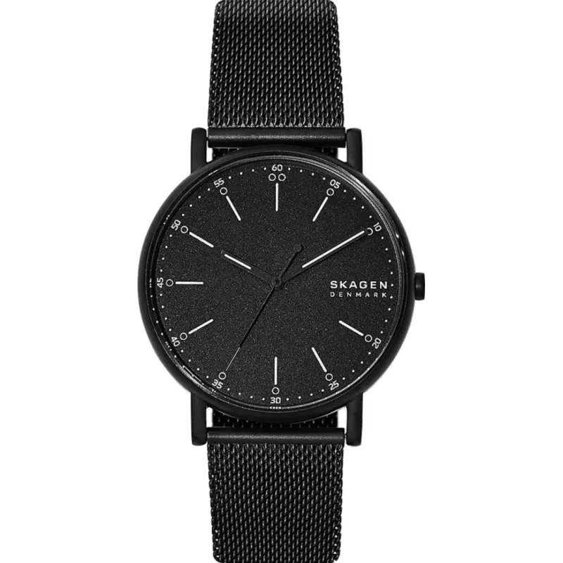 Часы Skagen Signatur SKW6579