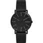 Часы Skagen Signatur SKW6579