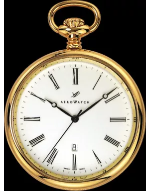 25795J501 TABLE Кишеньковий годинник Aerowatch