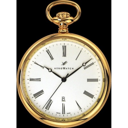 25795J501 TABLE Кишеньковий годинник Aerowatch