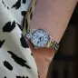 SEIKO PRESAGE COCKTAIL TIME SKYDIVING SRE007J1