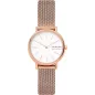 Годинник Skagen Signatur Lille SKW2694