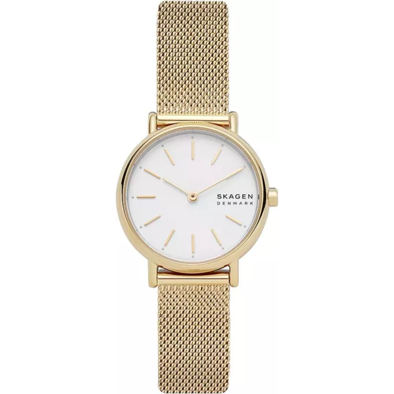 Годинник Skagen Signatur Lille SKW2693
