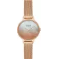 Годинник Skagen Anita Lille SKW3107