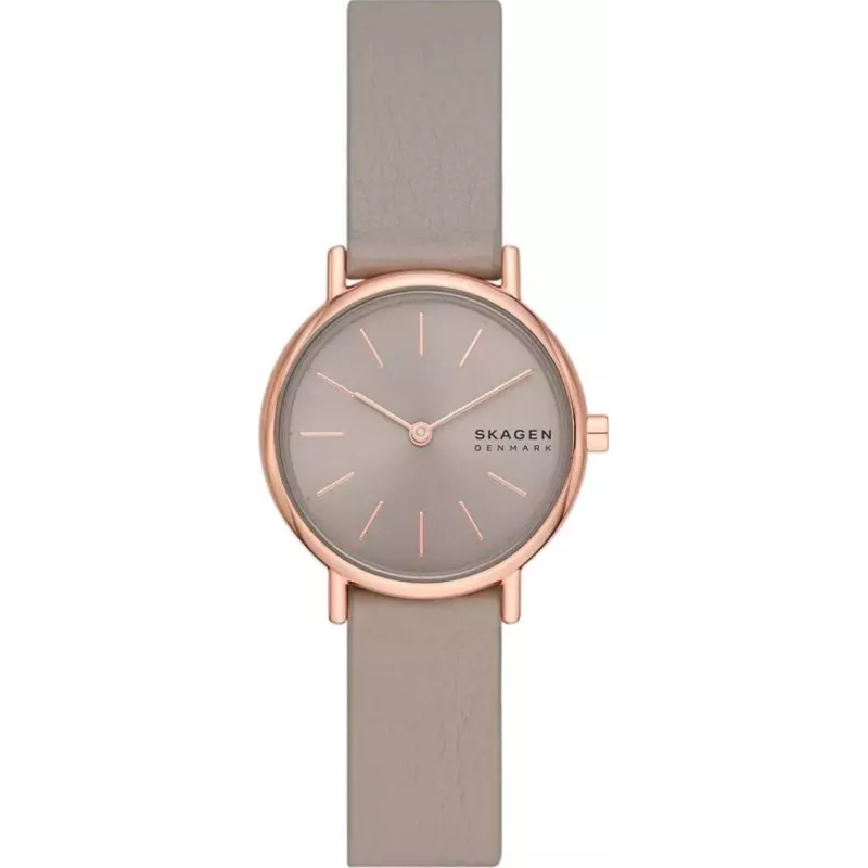 Годинник Skagen Signatur Lille SKW3060