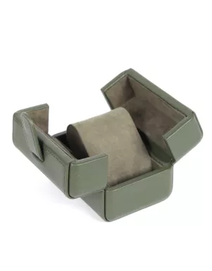 Футляр для годинника Salvadore Y8969-01011 GN