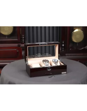 Скринька для зберігання годинників Salvadore WB/3085/BUC