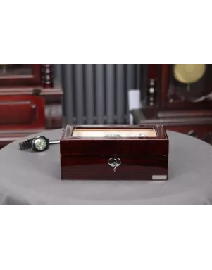 Скринька для зберігання годинників Salvadore WB/3085/BUC