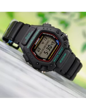Годинник Casio TIMELESS COLLECTION DW-290-1V