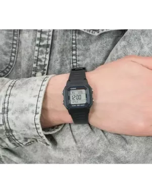 Годинник Casio TIMELESS COLLECTION W-800H-1AVEF