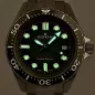 Часы Edox Neptunian Grande Reserve Date Automatic 80801 3VM VDN