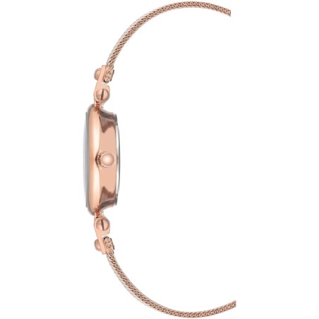 Годинник Anne Klein AK/3002RGRG