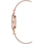 Часы Anne Klein AK/3002RGRG