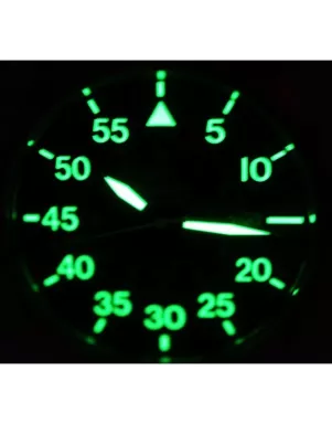 Orient FER2A001B0