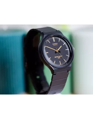 Casio TIMELESS COLLECTION MW-240-1E2VEF