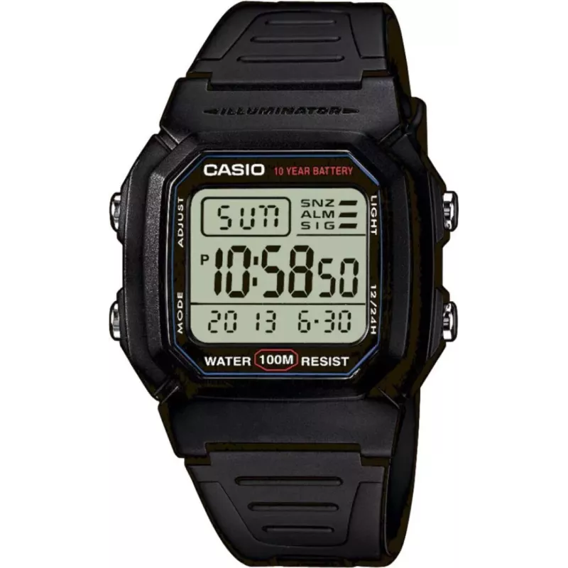 Часы Casio TIMELESS COLLECTION W-800H-1AVEF