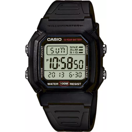 Годинник Casio TIMELESS COLLECTION W-800H-1AVEF