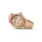 V.1.33.2.383.4 Швейцарський годинник Aviator