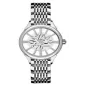 107846-41-16-10 (Roamer)