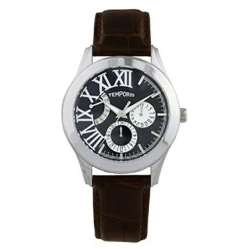 T013GS-01 (Temporis)
