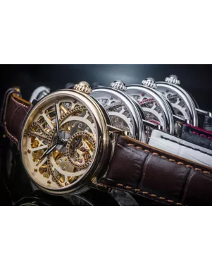 165.500.40 Жіночий наручний годинник Davosa
