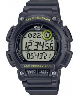 CASIO TIMELESS COLLECTION WS-2100H-8A