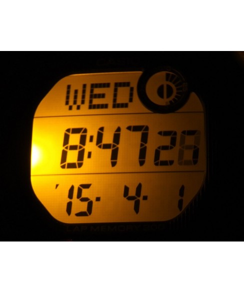 Часы CASIO WS-2000H-1AVEF