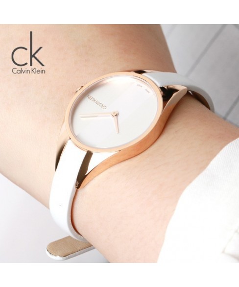 Часы Calvin Klein K8P236L6