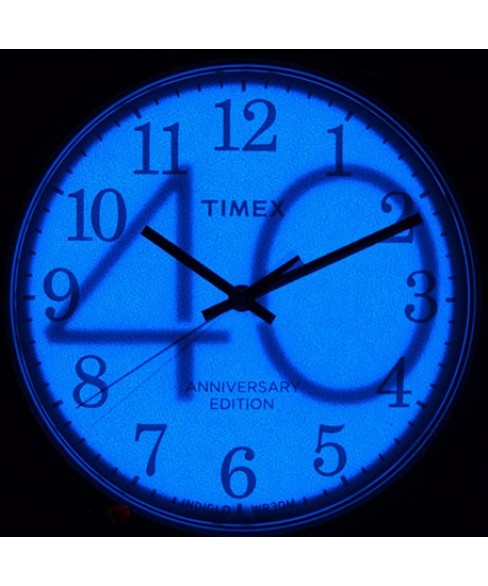 Годинник Timex Easy Reader Tx2r35900