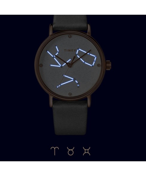 Годинник Timex CELESTIAL OPULENCE Tx2t87500