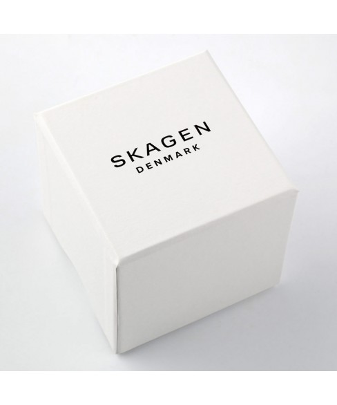 Годинник Skagen SKW6055