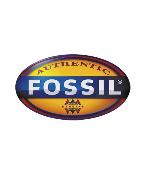 Часы Fossil CH2986