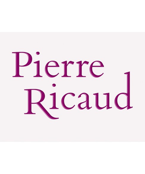 Часы Pierre Ricaud PR 11082.5214CH