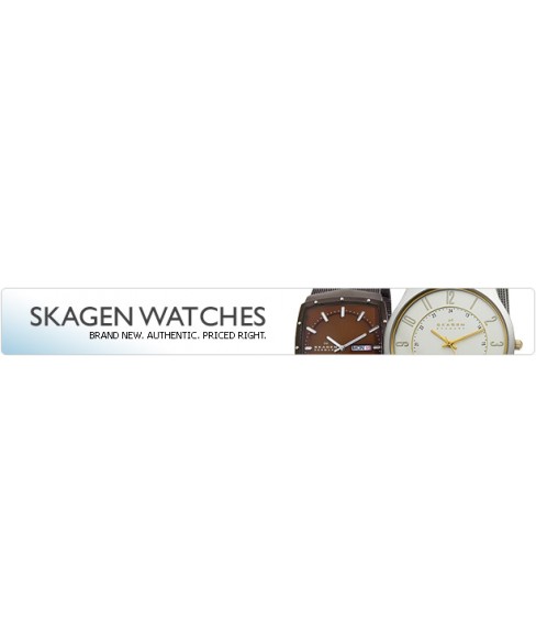Часы Skagen T233XLTMN