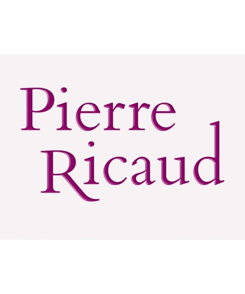 Часы Pierre Ricaud PR 22013.1141QZ