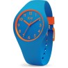 Ice-watch